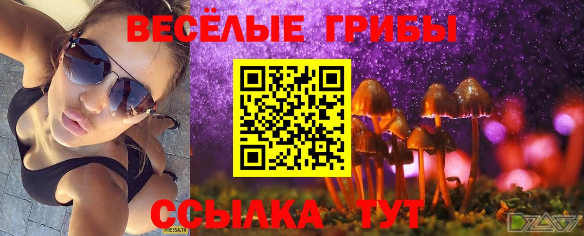 ГАШИШ  ГАШ  Вход с VPN  Котельники  Марихуана  Наркошоп  Меф МЯУ МЯУ кристаллы  КОКАИН  ГЕРОИН 