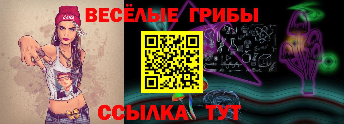 Псилоцибиновые грибы ЛСД  Вход с VPN  наркотики  Котельники 
