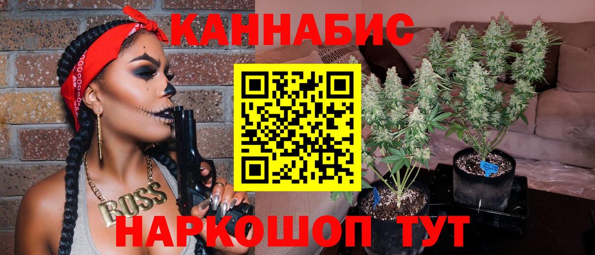 Конопля план  Бошки марихуана Bruce Banner  Бошки Шишки тримм  Вход с VPN  Котельники  Каннабис планчик 